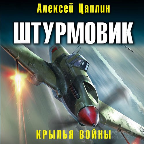 Цаплин Алексей. Штурмовик. Крылья войны (2021) Аудиокнига