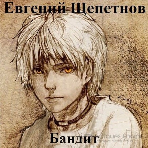 Обложка к /uploads/posts/2022-01/1641842592_741_schepetnov_evgenij___petr_sineljnikov_1__bandit.jpg