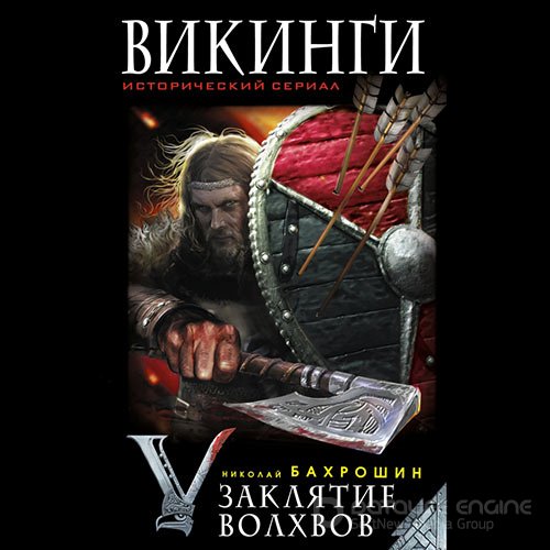 Обложка к /uploads/posts/2022-01/1642800849_9671_bahroshin_nikolaj___vikingi__zaklyatie_volhvov.jpg