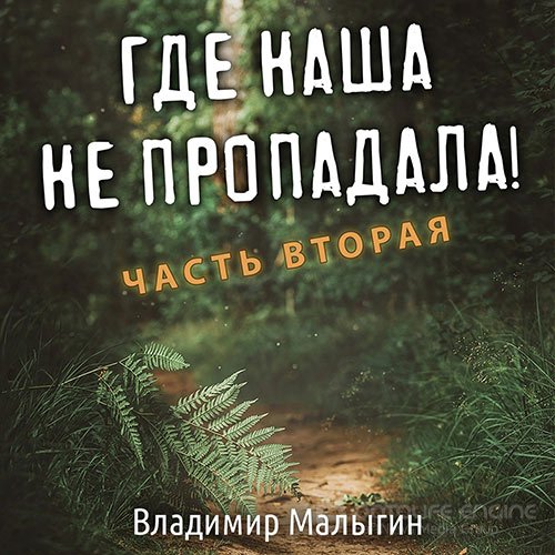 Малыгин Владимир. Где наша не пропадала! Часть 2 (2022) Аудиокнига